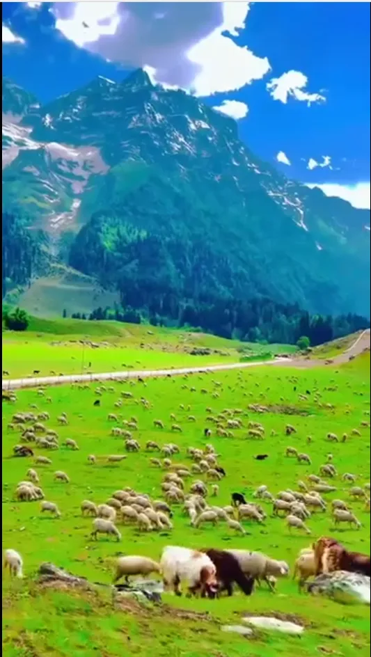 Kashmir Valley